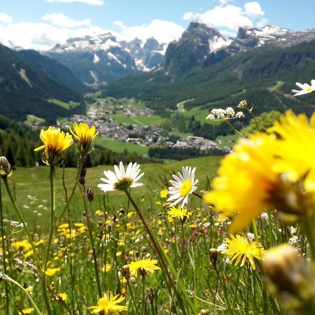 Ciasa De Munt La Villa (Trentino Alto Adige) Exterior foto