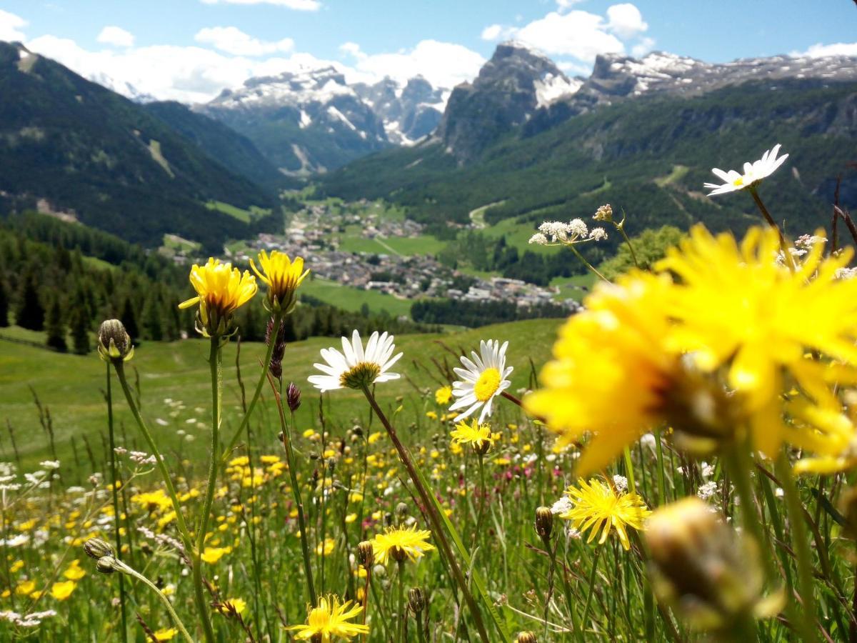 Ciasa De Munt La Villa (Trentino Alto Adige) Exterior foto